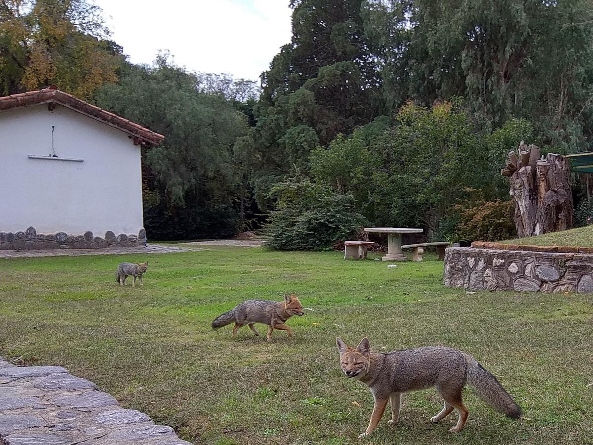 Hotel Colonial Villa de Merlo Bagian luar foto