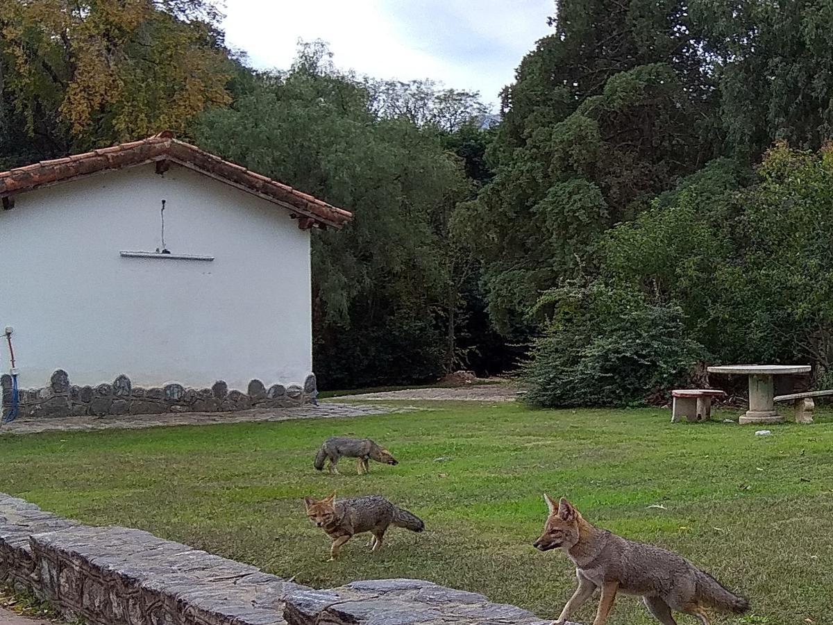 Hotel Colonial Villa de Merlo Bagian luar foto